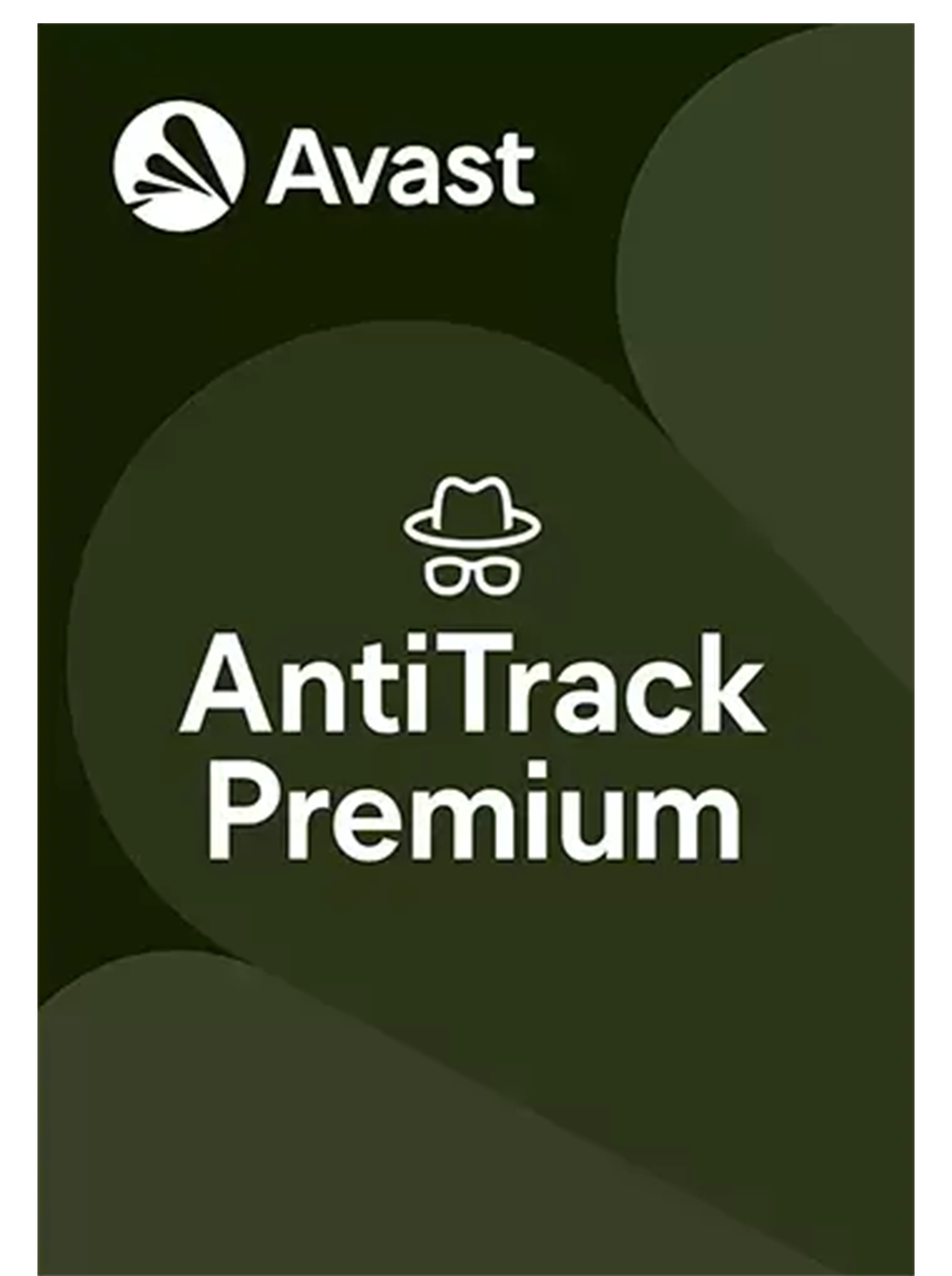 PORTADA 3